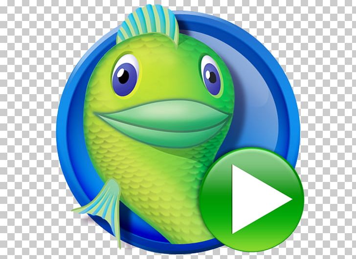 Tree Frog PNG, Clipart, Amphibian, Animals, Big Night Fishing 3d Lite, Fish, Frog Free PNG Download