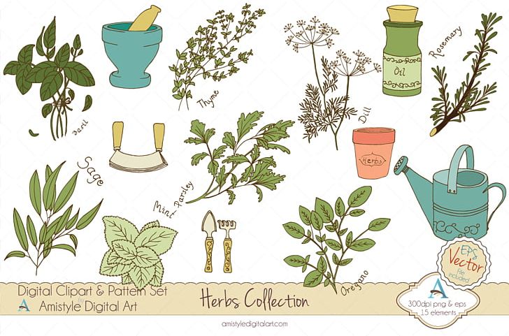 Herb Spice PNG, Clipart, Adobe Illustrator, Art, Drawing, Fauna, Flora Free PNG Download