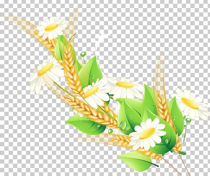 Floral Design Adobe Illustrator Euclidean PNG, Clipart, Art, Christmas Decoration, Commodity, Common Daisy, Daisy Vector Free PNG Download