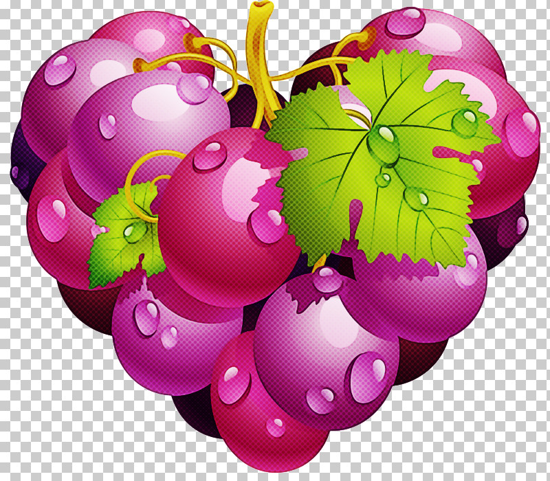 Purple Violet Pink Plant Magenta PNG, Clipart, Fruit, Grape, Grapevine Family, Magenta, Pink Free PNG Download