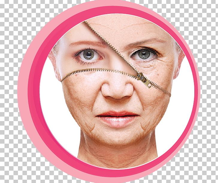 Anti-aging Cream Life Extension Ageing Skin Care Wrinkle PNG, Clipart, Ageing, Anti Aging Cream, Antiaging Cream, Cheek, Chin Free PNG Download