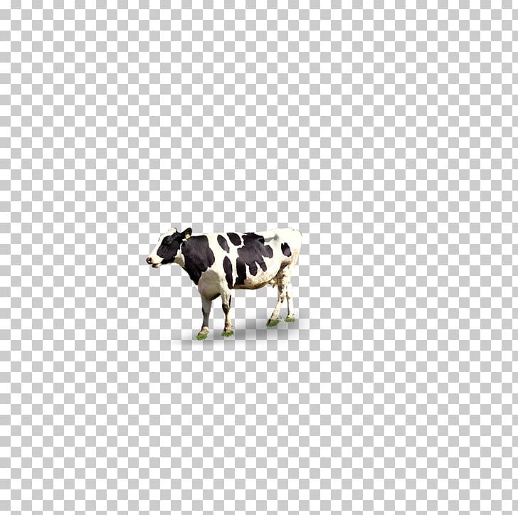 Cattle Pattern PNG, Clipart, Animal, Animals, Cattle, Cattle Like Mammal, Cow Free PNG Download
