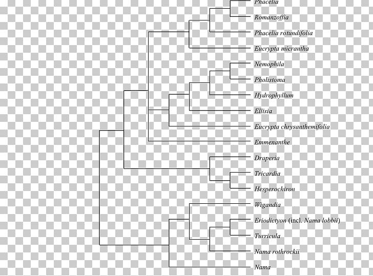 Document Line Angle PNG, Clipart, Angle, Area, Art, Biological Classification, Black And White Free PNG Download