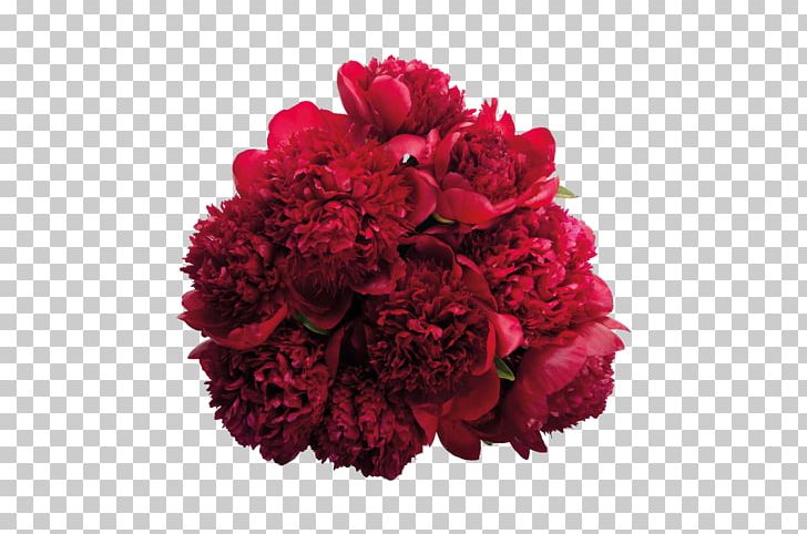 Peony Flower Bouquet Burgundy Pink Flowers PNG, Clipart, Annual Plant, Arena Flowers, Cut Flowers, Dianthus, Flower Free PNG Download