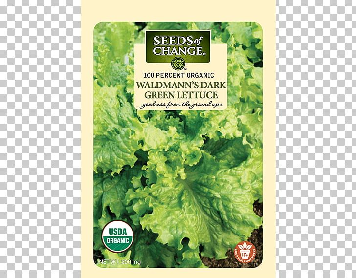 Romaine Lettuce Organic Food Red Leaf Lettuce Leaf Vegetable PNG, Clipart, Food, Food Drinks, Herb, Kale, Lactuca Free PNG Download