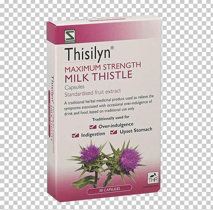 Milk Thistle Dietary Supplement Tablet Pharmaceutical Drug PNG, Clipart,  Free PNG Download