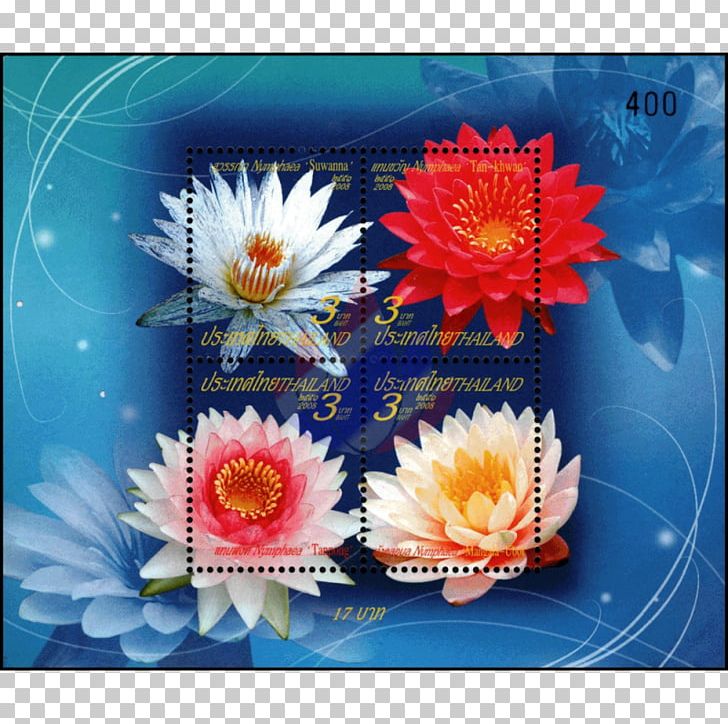 Postage Stamps ร้านแสตมป์เอซี Thai Baht Letter Tongdaeng PNG, Clipart, Asia, Aster, Chinese Zodiac, Cobalt Blue, Flower Free PNG Download