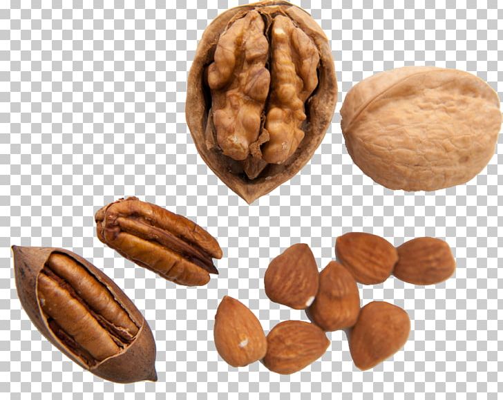 Walnut Pecan Nuts Auglis PNG, Clipart, Algarroba, Almond, Auglis, Banana, Chocolate Free PNG Download
