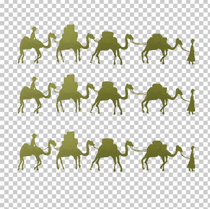 Camel One Belt One Road Initiative Horse Maritime Silk Road PNG, Clipart, Animal, Animal Camel, Animals, Bmp File Format, Camel Toe Free PNG Download