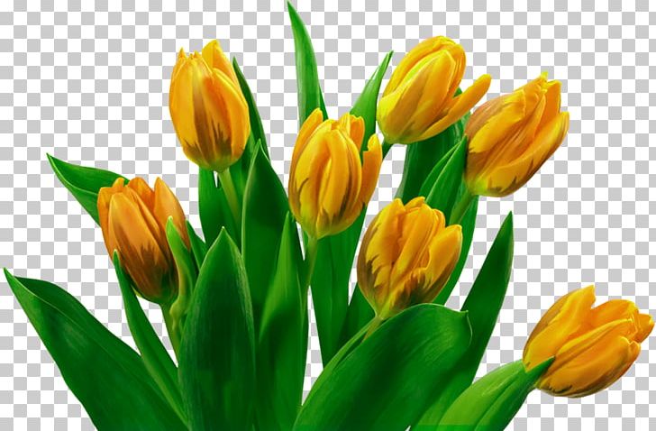 Flower Bouquet Tulip Rose PNG, Clipart, Artificial Flower, Bud, Bulb, Crocus, Cut Flowers Free PNG Download