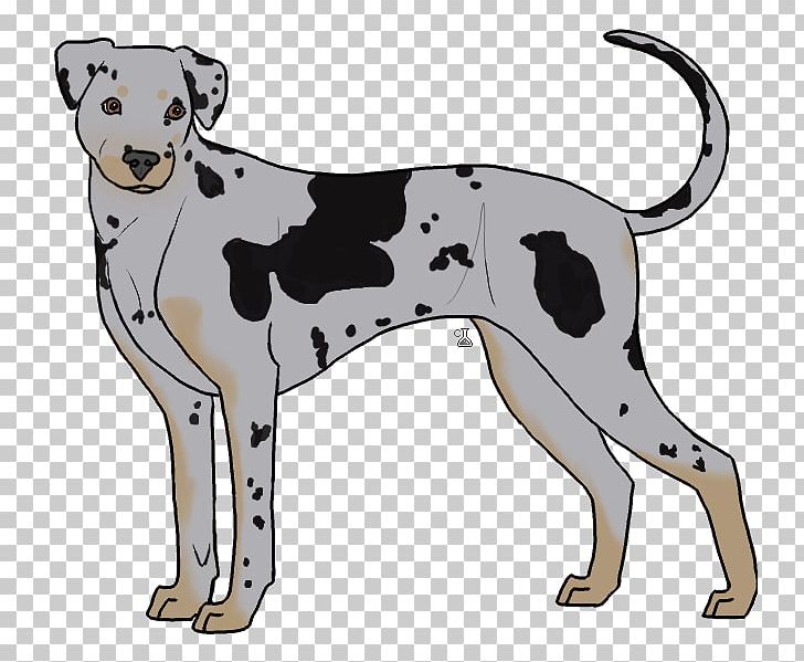 Dalmatian Dog Dog Breed Non-sporting Group Crossbreed PNG, Clipart, Breed, Carnivoran, Crossbreed, Dalmatian, Dalmatian Dog Free PNG Download