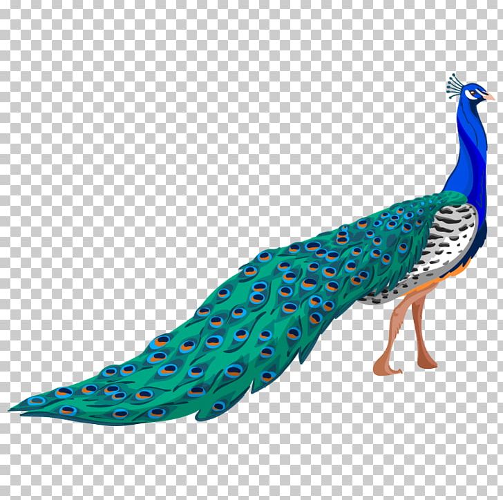 Hummingbird Wall Decal Drawing PNG, Clipart, Adobe Illustrator, Animals, Beak, Bird, Bird Cage Free PNG Download