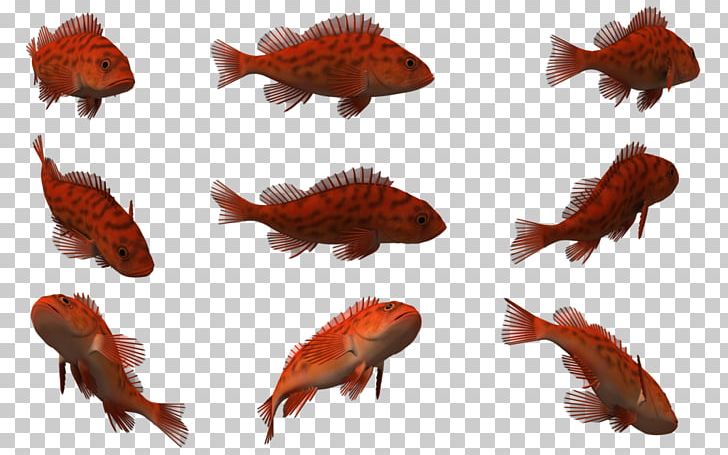 3D Computer Graphics Fish PNG, Clipart, 3 D, 3d Computer Graphics, 3d ...