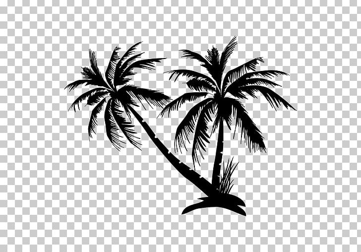 Photography PNG, Clipart, Arecaceae, Arecales, Black And White, Borassus Flabellifer, Branch Free PNG Download