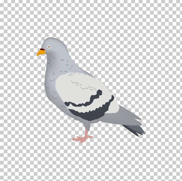 Columbidae Domestic Pigeon London Beak Drawing PNG, Clipart, Beak, Bird, Columbidae, Com, Creative Pigeons Free PNG Download