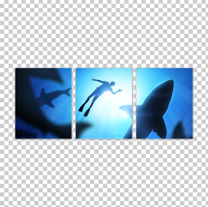 Great White Shark Swimming Hammerhead Shark Shark Finning PNG, Clipart, Animals, Blacktip Reef Shark, Dolphin, Electric Blue, Fin Free PNG Download