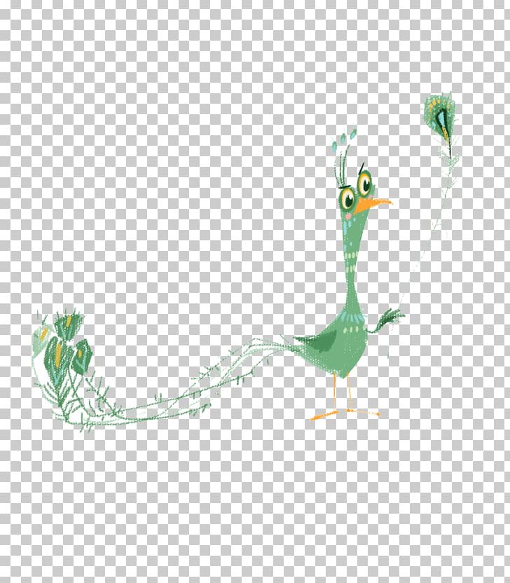 Peafowl Illustration PNG, Clipart, Adobe, Animals, Bird, Cartoon, Children Free PNG Download