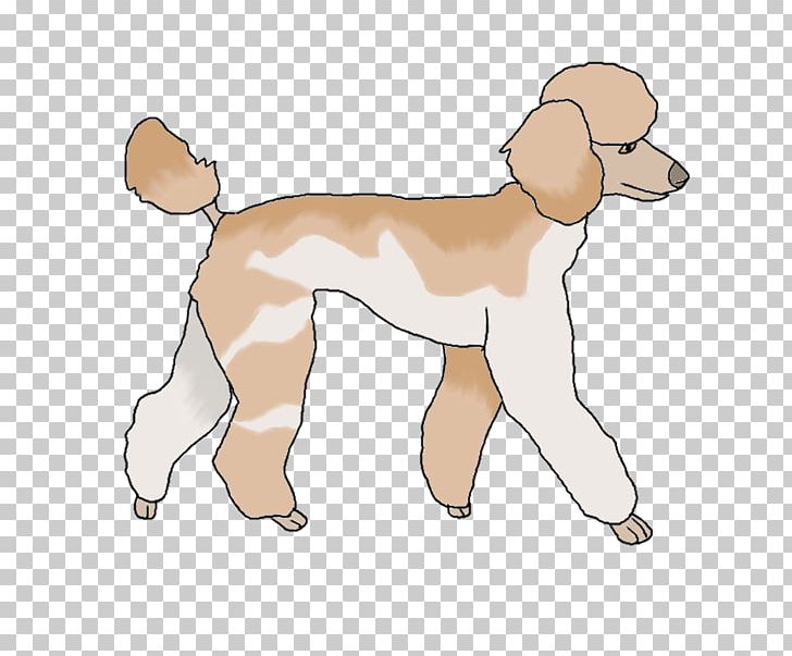 Standard Poodle Great Dane Puppy Dog Breed PNG, Clipart, Animal, Animal Figure, Animals, Canidae, Carnivoran Free PNG Download