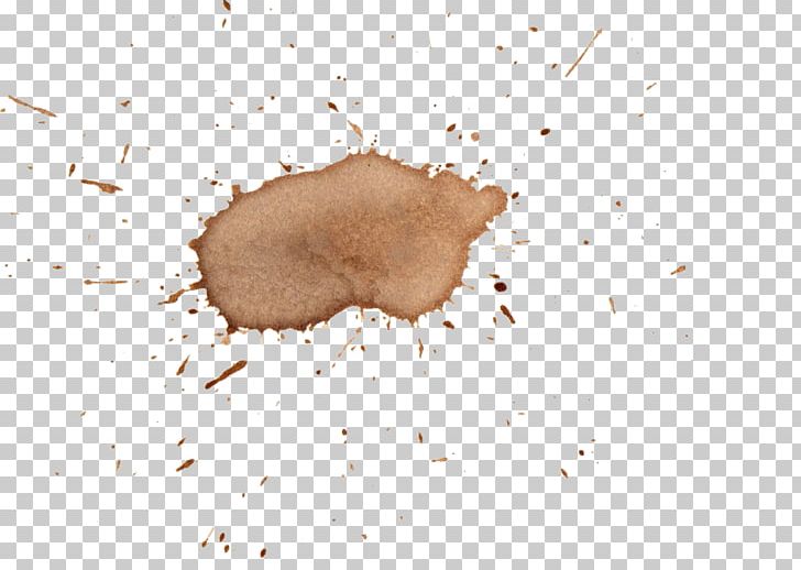 Coffee United Nations Security Council Resolution 1386 Snout PNG, Clipart, Animal, Coffee, Com, Download, Food Drinks Free PNG Download