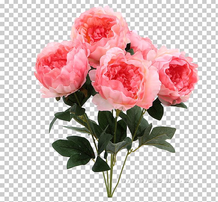 Garden Roses Cabbage Rose Peony Cut Flowers Flower Bouquet PNG, Clipart, Annual Plant, Artificial Flower, Bilo, Carnation, Cut Flowers Free PNG Download