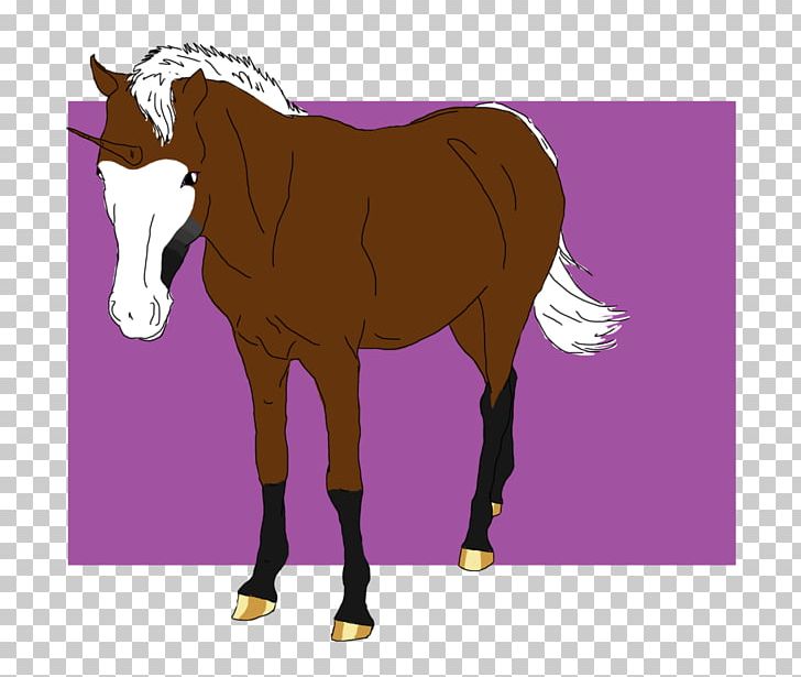 Mule Foal Stallion Mare Colt PNG, Clipart, Bridle, Caro, Cartoon, Colt, Fictional Character Free PNG Download