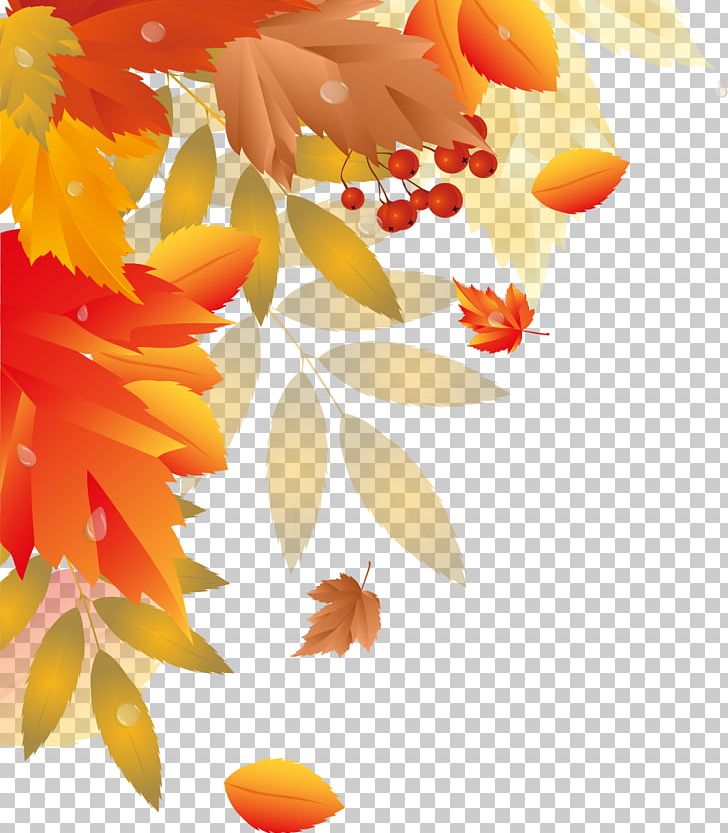 Autumn Leaf PNG, Clipart, Autumn, Autumn Leaves, Autumn Tree, Bxe0ner, Country Free PNG Download
