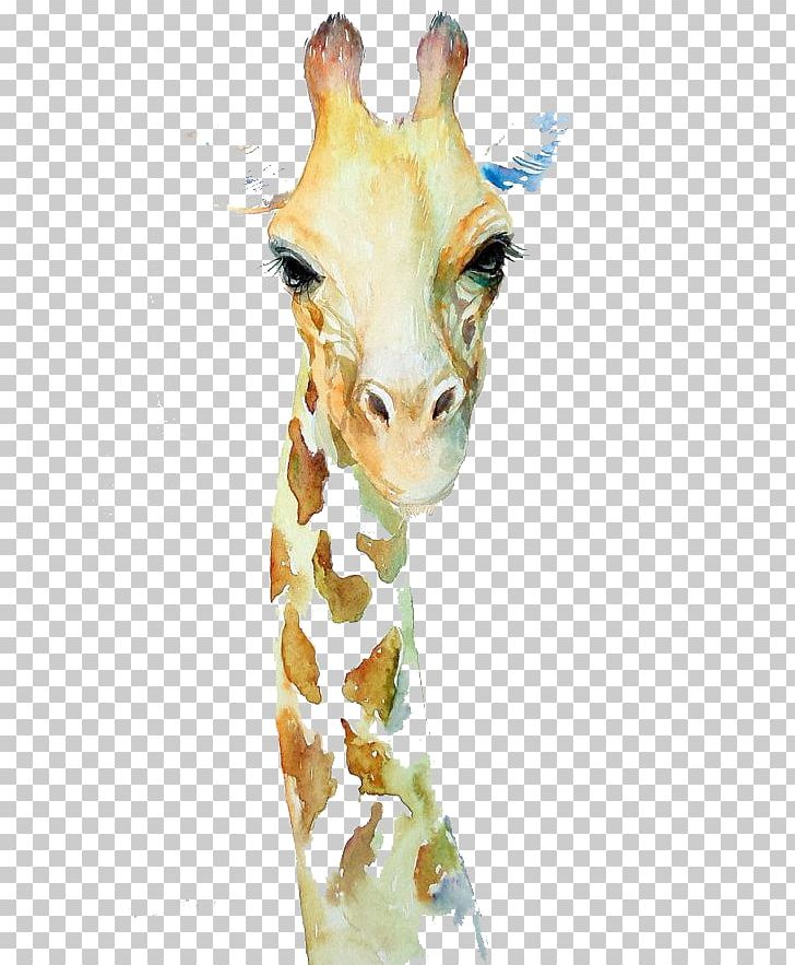 Northern Giraffe Watercolor Painting Art Drawing PNG, Clipart, Animal, Animal Painter, Animals, Art, Artist Trading Cards Free PNG Download