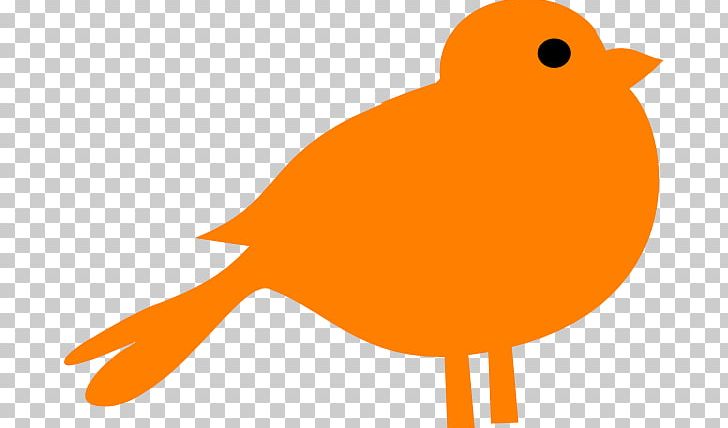 Bird PNG, Clipart, Beak, Bird, Blog, Blue, Brown Free PNG Download