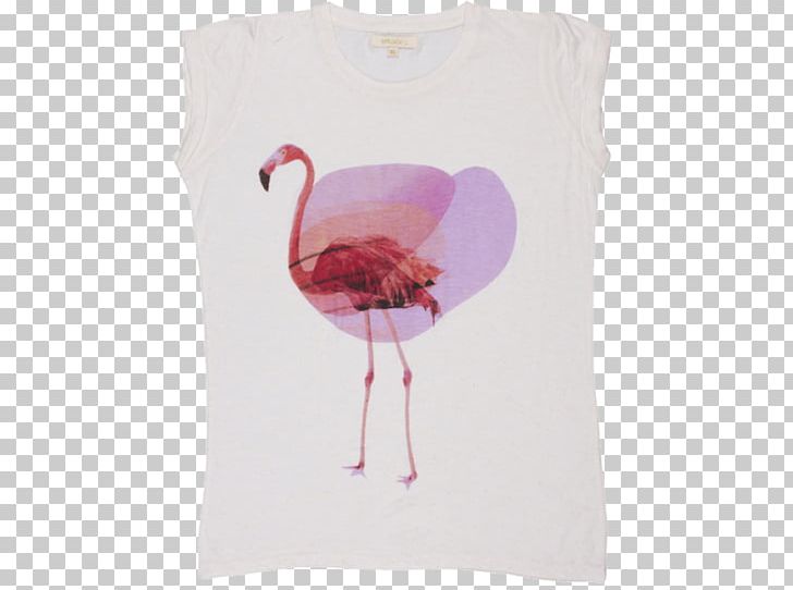 Dove Si Posano Le Ombre T-shirt G. Mario Malu PNG, Clipart, Bird, Clothing, Flamingo, Neck, Petal Free PNG Download