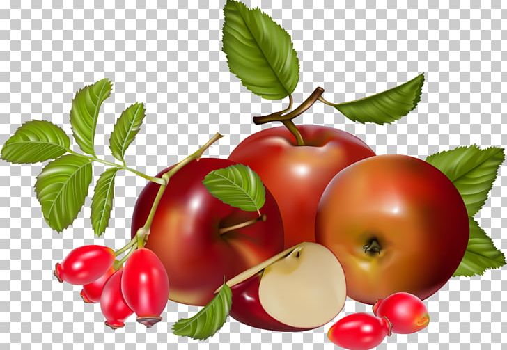 Food Barbados Cherry Berry Tomato PNG, Clipart, Acerola, Acerola Family, Apple, Barbados Cherry, Berry Free PNG Download