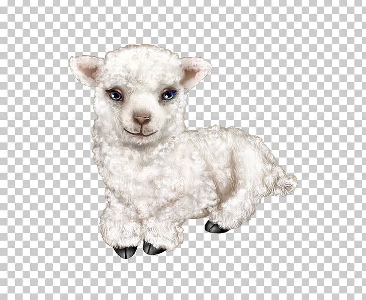 Sheep Goat Stuffed Animals & Cuddly Toys Snout PNG, Clipart, Amp, Animals, Chickadee, Cow Goat Family, Cuddly Toys Free PNG Download