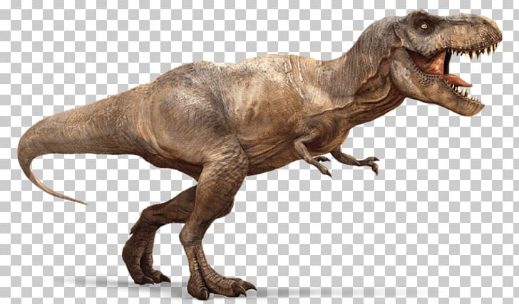 Tyrannosaurus Spinosaurus Carnotaurus Triceratops Theropods PNG, Clipart, Animatronics, Carnivore, Carnotaurus, Dinosaur, Fantasy Free PNG Download