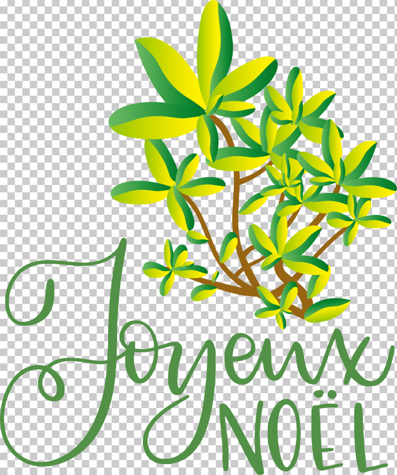 Noel Nativity Xmas PNG, Clipart, Branch, Christmas, Data, Leaf, Nativity Free PNG Download