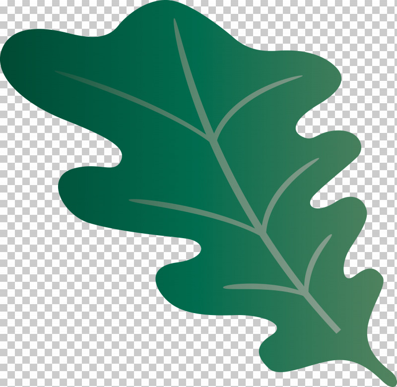 Oak Leaf PNG, Clipart, Biology, Green, Leaf, Meter, Oak Leaf Free PNG Download