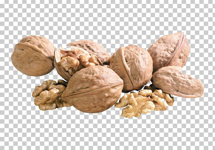 English Walnut Dried Fruit PNG, Clipart, Almond, Commodity, Dried Fruit, English Walnut, Food Free PNG Download