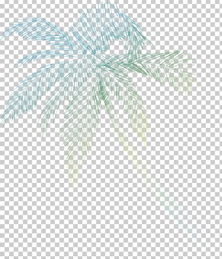 Palm Trees Date Palm Line Leaf Branching PNG, Clipart, Arecales, Branch, Branching, Date Palm, Leaf Free PNG Download