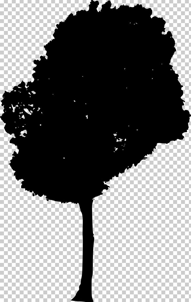 Silhouette PNG, Clipart, Animals, Austral Pacific Energy Png Limited, Black, Black And White, Branch Free PNG Download