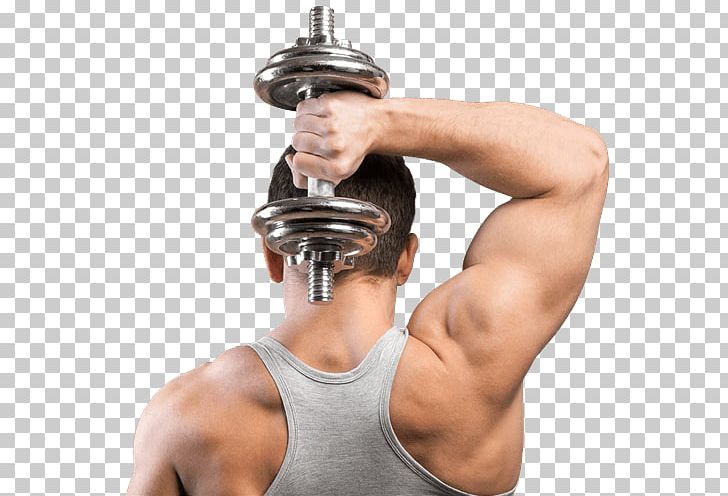 Weight Training Fitness Centre CrossFit Wrist PNG, Clipart, Abdomen, Arm, Biceps Curl, Chest, Chin Free PNG Download