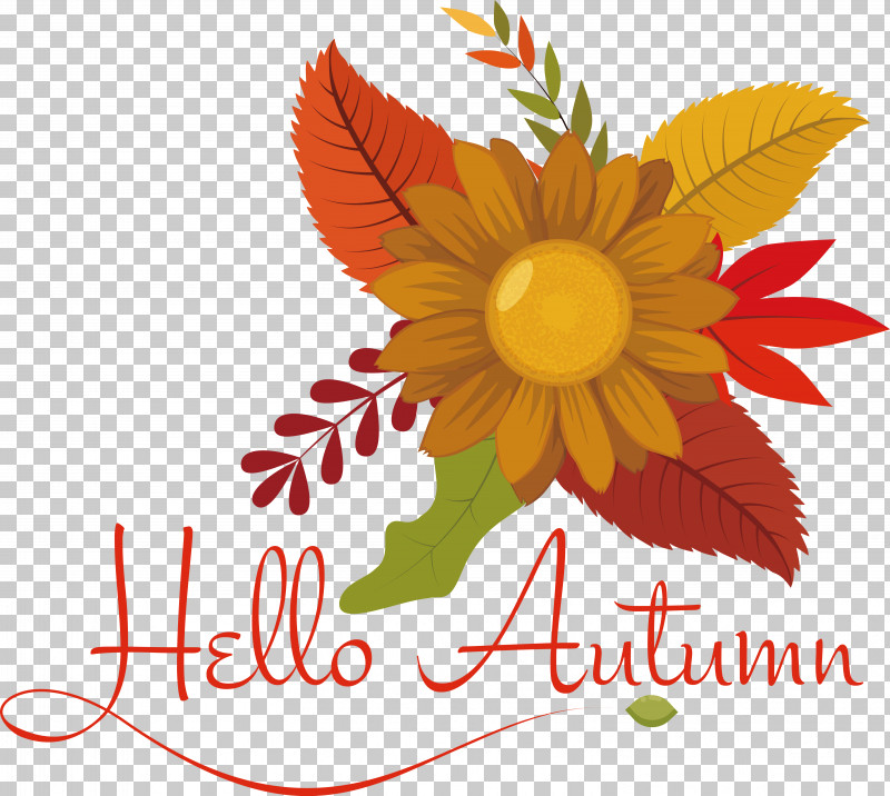 Floral Design PNG, Clipart, Chrysanthemum, Common Sunflower, Cut Flowers, Floral Design, Flower Free PNG Download