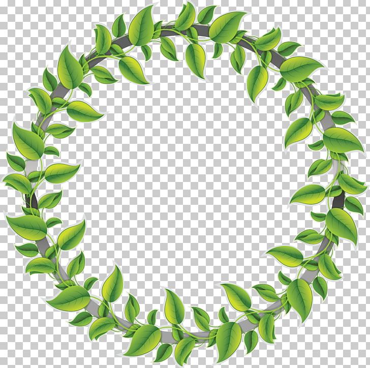 Leaf PNG, Clipart, Branch, Green, Leaf, Needle, Picture Frames Free PNG Download