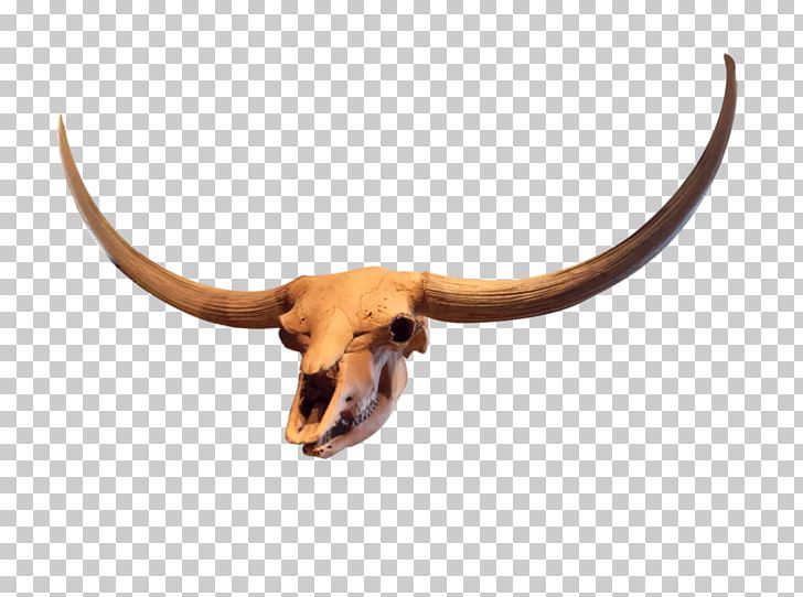 Texas Longhorn Antelope Goat Stock PNG, Clipart, Animal, Antelope, Cattle, Cattle Like Mammal, Cow Goat Family Free PNG Download