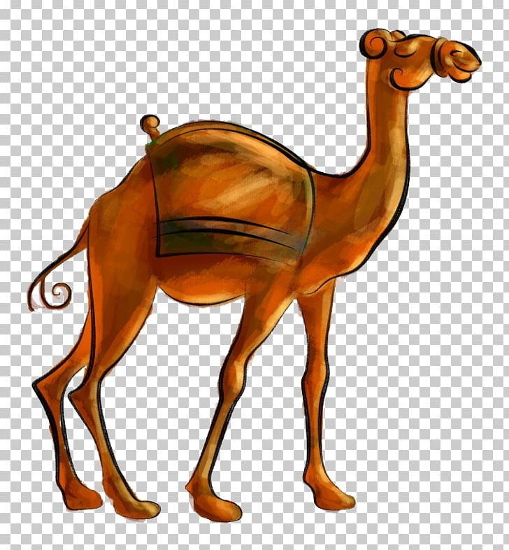 Camel PNG, Clipart, Animal, Animals, Animation, Arabian Camel, Balloon Cartoon Free PNG Download