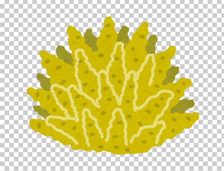 Coral Reef Waifu Gemstone Mustard PNG, Clipart, Association, Clothing Accessories, Coral, Coral Reef, Gemstone Free PNG Download