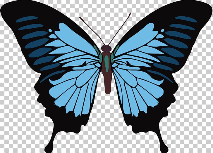 Monarch Butterfly Papilio Ulysses PNG, Clipart, Art, Arthropod, Blue, Brush Footed Butterfly, Butterfly Free PNG Download