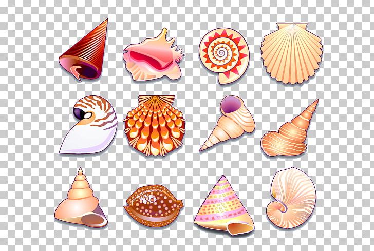 Seashell Shellfish Icon PNG, Clipart, 3d Computer Graphics, Black And White, Cartoon Conch, Conch, Conch Blowing Free PNG Download
