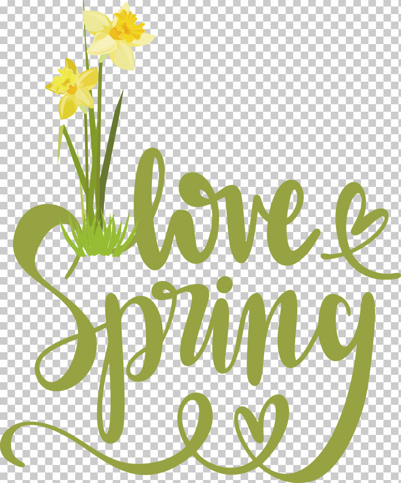 Floral Design PNG, Clipart, Cut Flowers, Floral Design, Flower, Logo, Meter Free PNG Download