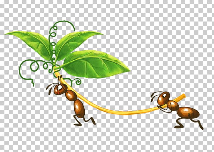 Ant Colony Insect PNG, Clipart, Ant, Ants Vector, Ant Vector, Black Ant, Branch Free PNG Download