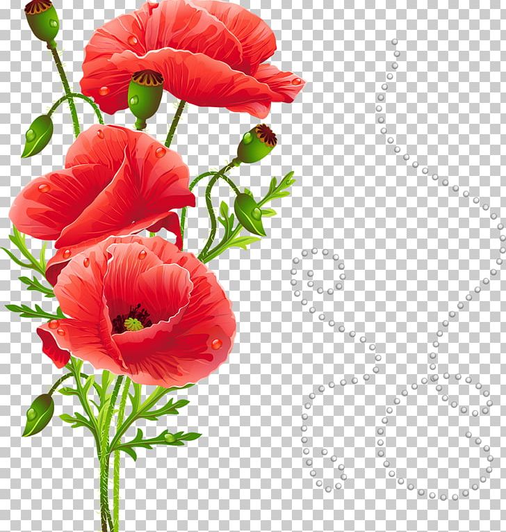 Common Poppy Papaver Nudicaule Flower White Poppy PNG, Clipart, Annual Plant, Art, Blanket, California Poppy, Color Free PNG Download