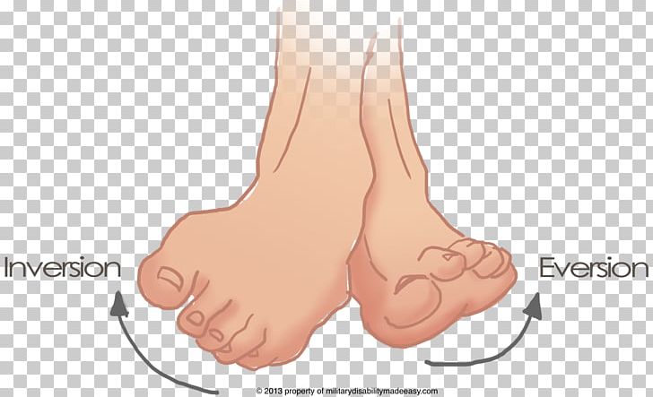 Inversion Foot Eversion Sprained Ankle PNG, Clipart, Anatomy, Ankle, Arm, Ear, Eversion Free PNG Download