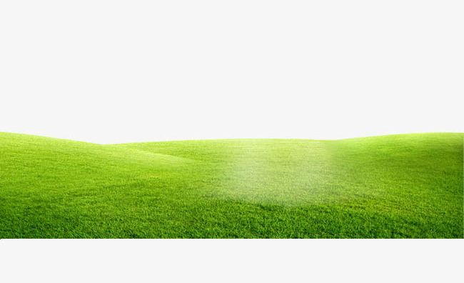 Green Lawn PNG, Clipart, Background, Grass, Green, Green Clipart, Green Grass Free PNG Download
